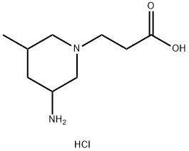 3-(3-amino-5-methylpiperidin-1-yl)propanoic acid dihydrochloride Structure