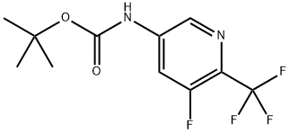 INDEX NAME NOT YET ASSIGNED Structure