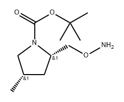 tert-butyl (2S,4S)-2-(aminooxymethyl)-4-methyl-pyrrolidine-1-carboxylate 구조식 이미지