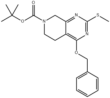 INDEX NAME NOT YET ASSIGNED Structure