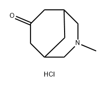 3-methyl-3-azabicyclo[3.3.1]nonan-7-one hydrochloride Structure