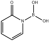 (2-Oxopyridin-1(2H)-yl)boronic acid Structure