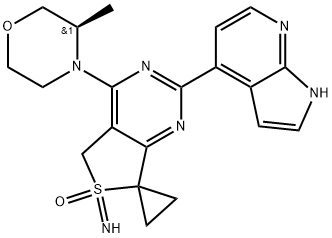 INDEX NAME NOT YET ASSIGNED Structure