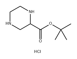 tert-butyl piperazine-2-carboxylate dihydrochloride Structure