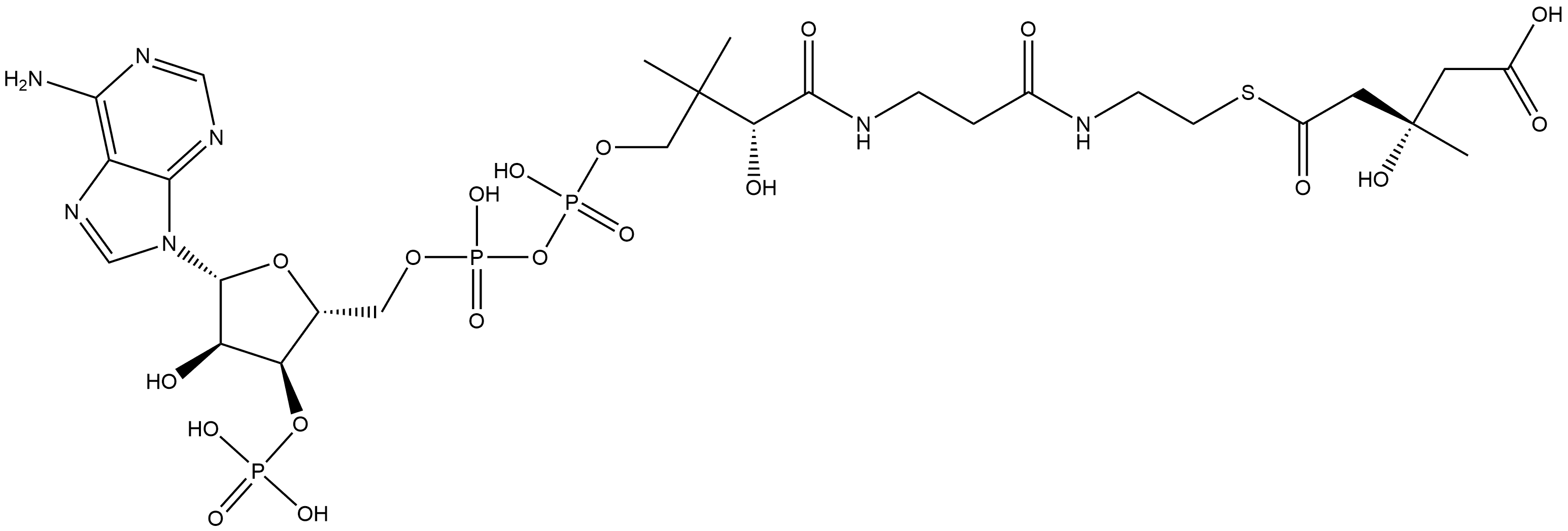 Coenzyme A, S-[hydrogen (3S)-3-hydroxy-3-methylpentanedioate] Structure