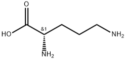 poly-l-ornithine hydrochloride Structure