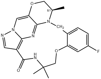 INDEX NAME NOT YET ASSIGNED Structure