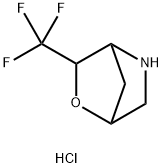 2-Oxa-5-azabicyclo[2.2.1]heptane, 3-(trifluoromethyl)-, hydrochloride (1:1) 구조식 이미지