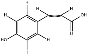 INDEX NAME NOT YET ASSIGNED Structure