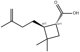 rel-(1R,2S)-3,3-Dimethyl-2-(3-methyl-3-buten-1-yl)cyclobutanecarboxylic acid Structure