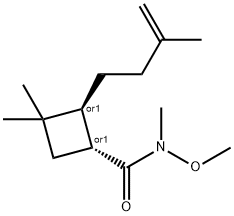 rel-(1R,2S)-N-Methoxy-N,3,3-trimethyl-2-(3-methyl-3-buten-1-yl)cyclobutanecarboxamide Structure