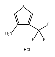 3-Thiophenamine, 4-(trifluoromethyl)-, hydrochloride (1:1) 구조식 이미지