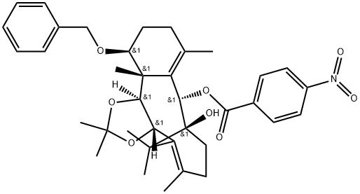 INDEX NAME NOT YET ASSIGNED Structure