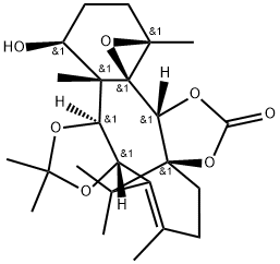 INDEX NAME NOT YET ASSIGNED Structure