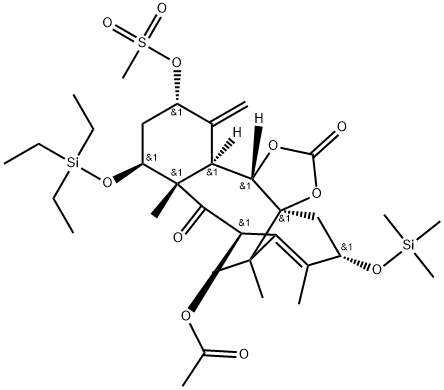 INDEX NAME NOT YET ASSIGNED Structure