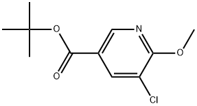 Tert-butyl 5-chloro-6-methoxynicotinate Structure