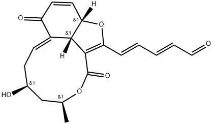 INDEX NAME NOT YET ASSIGNED Structure