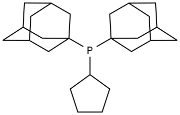 NA Structure