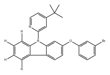 INDEX NAME NOT YET ASSIGNED Structure