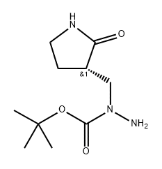 (S)-tert-Butyl 1-((2-oxopyrrolidin-3-yl)methyl)hydrazinecarboxylate Structure
