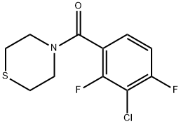 (3-Chloro-2,4-difluorophenyl)(thiomorpholino)methanone 구조식 이미지