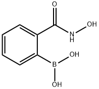 (2-(hydroxycarbamoyl)phenyl)boronic acid Structure