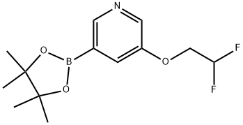 3-(2,2-Difluoroethoxy)-5-(4,4,5,5-tetramethyl-1,3,2-dioxaborolan-2-yl)pyridine Structure