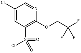 5-Chloro-2-(2,2,2-trifluoroethoxy)pyridine-3-sulfonyl chloride Structure
