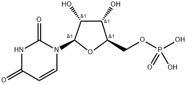 POLYURIDYLIC ACID (5') POTASSIUM SALT Structure