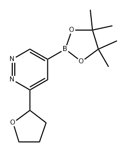 3-(tetrahydrofuran-2-yl)-5-(4,4,5,5-tetramethyl-1,3,2-dioxaborolan-2-yl)pyridazine Structure