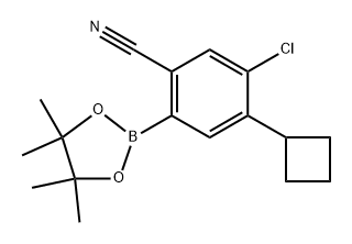 5-chloro-4-cyclobutyl-2-(4,4,5,5-tetramethyl-1,3,2-dioxaborolan-2-yl)benzonitrile Structure