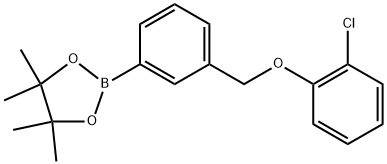 1,3,2-Dioxaborolane, 2-[3-[(2-chlorophenoxy)methyl]phenyl]-4,4,5,5-tetramethyl- 구조식 이미지
