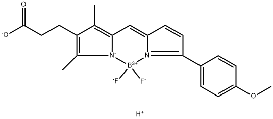 BDP TMR carboxylic acid 구조식 이미지