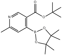 tert-Butyl 6-methyl-4-(4,4,5,5-tetramethyl-1,3,2-dioxaborolan-2-yl)nicotinate 구조식 이미지