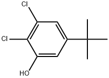 5-(tert-butyl)-2,3-dichlorophenol Structure