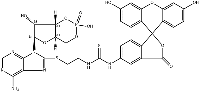 Adenosine, 8-[[2-[[[(3',6'-dihydroxy-3-oxospiro[isobenzofuran-1(3H),9'-[9H]xanthen]-5-yl)amino]thioxomethyl]amino]ethyl]thio]-, cyclic 3',5'-(hydrogen phosphate) 구조식 이미지