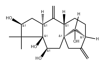 grayanotoxin VIII Structure