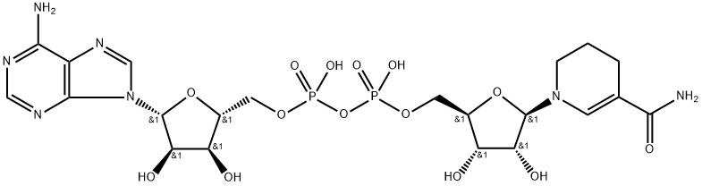 1,4,5,6-테트라하이드로니코틴아미드아데닌디뉴클레오타이드 구조식 이미지