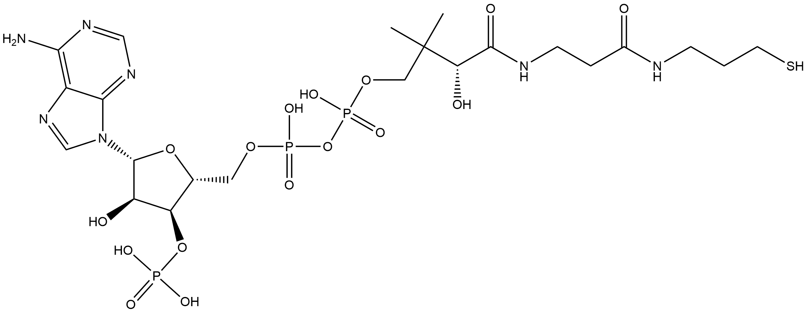 Adenosine 5'-(trihydrogen diphosphate), 3'-(dihydrogen phosphate), P'-[(3R)-3-hydroxy-4-oxo-4-[[3-oxo-3-[(3-mercaptopropyl)amino]propyl]amino]-2,2-dimethylbutyl] ester (9CI) Structure