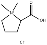 Stachydrine hydrochloride Structure