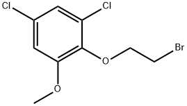 2-(2-Bromoethoxy)-1,5-dichloro-3-methoxybenzene Structure