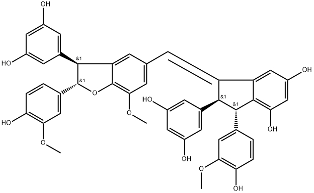 Gnetuhainin N Structure