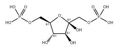 Fbp Structure