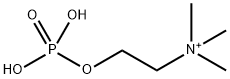 Phosphorylcholine Structure