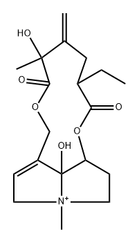 (12ξ)-13,19-Didehydro-15,20-dihydro-8,12-dihydroxy-4-methyl-11,16-dioxosenecionan-4-ium 구조식 이미지