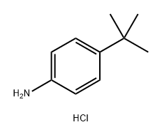 4-t-butylphenylammonium Chloride Structure