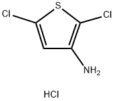 2,5-dichlorothiophen-3-amine hydrochloride 구조식 이미지