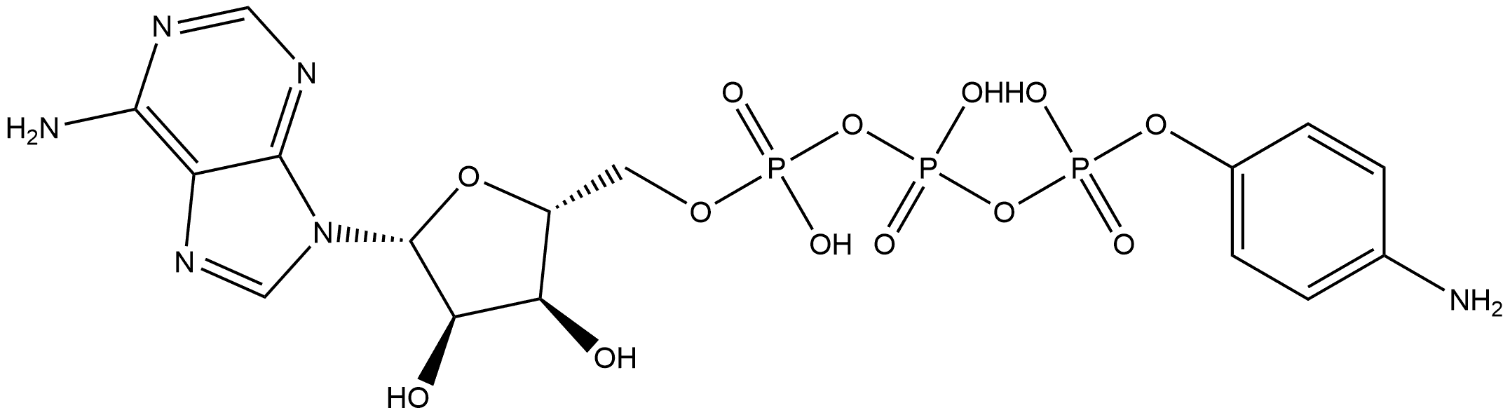 γ-Aminophenyl-ATP 구조식 이미지