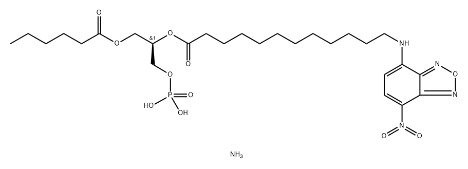 06:0-12:0 NBD PA Structure