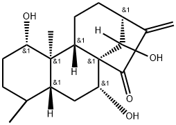 Kamebanin Structure